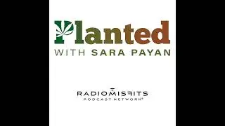 Planted &ndash; Andrew DeAngelo