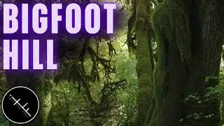 iNTO THE FRAY 530 | Bigfoot Hill