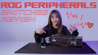 ASUS ROG Peripherals Switches Review ft. Sol8erry