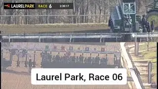 US Horse Racing Replays | Gulfstream Park, Laurel Park & Aqueduct Highlights (Yesterday)