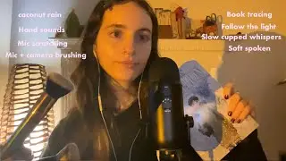 ASMR my subscribers favourite triggers