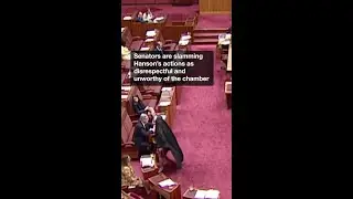 Senate suspend politician over repeat burqa stunt amid outcry