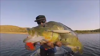 PESCARIA DE TUCUNARE NO LAGO CORUMB&Aacute; 4 GOIAS  Alexania, Silv&acirc;nia, Abadiania, Luzi&acirc;nia