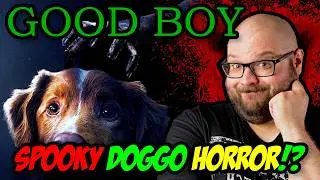 Good Boy (2025) A Shudder Original Horror Movie Review | Blood Splattered Vlog