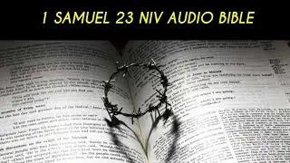 1 SAMUEL 23 NIV AUDIO BIBLE (with text)