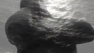 Kimi K&auml;rki feat. Patrick Walker: Beyond Distance (Official Music Video)