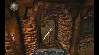 Divinity 2 Ego Draconis - Item Glitch