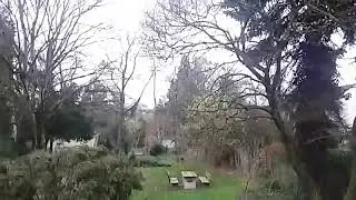 Sturm Friederike - 18.1.2018 - Duisburg (Rheinhausen)