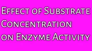 Effect of Substrate Concentration on enzyme activity || First and Zero order reactions || Vmax