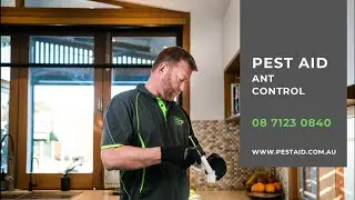 PEST AID Ant Control