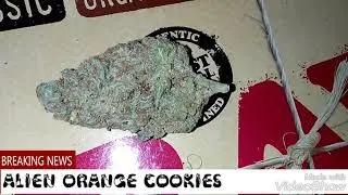 Alien orange cookies 💀🍊🍪🔥🔥🔥