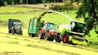 Fell Silage - in September.  Field number Two . . .
