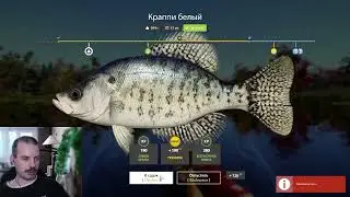 ✅ Шел 10 день, делаем квесты ✅ !tg !тт !донат #russianfishing4