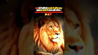 फायदे में रहोगे 🤟🔥💯#WhatsApp Attitude Status Video 2024 #vicky status King 👑 #youtubeshorts #viral