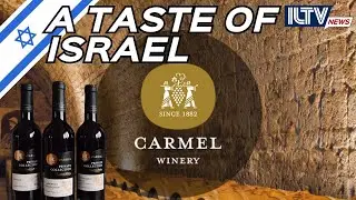 Inside Carmel Winery: The Secret Behind Israel&rsquo;s Most Iconic Wines