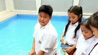 Amazing School   Jonah Story