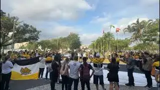 Crici&uacute;ma: torcida Os Tigres fazendo festa em frente &agrave; prefeitura