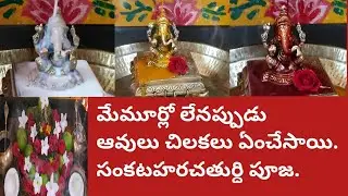 మేముఊర్లోలేనప్పుడు ఆవులు చిలకలుఏంచేసాయి|ఊర్నించి రాగానే మొదటిపూజ|సంకటహరచతుర్ధికి గణపతికి విశేష పూజ|