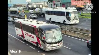 Tut transportes investimentos na compra da empresa 