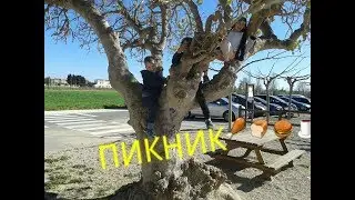 Пикник в палатке и без нее