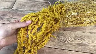 амарант стабилизированный