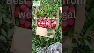 🌟 Discover the Delight of West Bengal's Litchi! 🌟 #primefresh