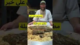 مطبق شيم إبداع - هشام العون 