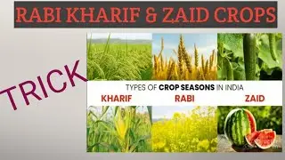 TRICK TO REMEMBER RABI KHARIF & ZAID CROPS #htet #TGT#PGT BIOLOGY #nvs#kvs #AVNI ACADEMY #ltscience