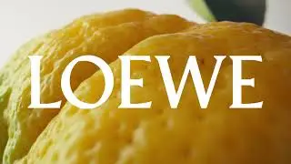 LOEWE Perfumes - Summer