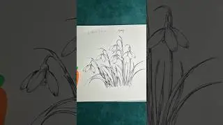 Draw snow drop #drawing #draw #drawflower #penandink #penandinkart #vehoa #howtodraw #howtodraweasy