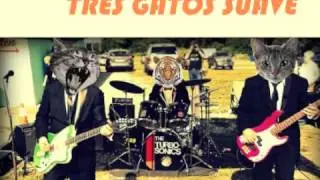 Tres Gatos Suave   Ricochet