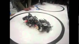 Sumo Robot 