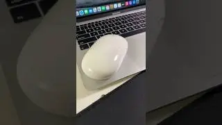 Apple Wireless Mouse - Актуальный грызун #apple #device #vintage
