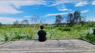 PARADISE Hike | Australian Wetlands WALKABOUT