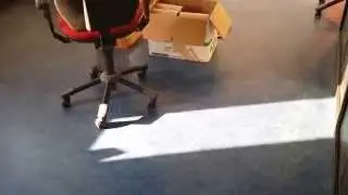 Linoleum Vloer Goedkoop en Slijtvast
