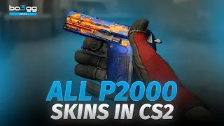 CS2 ALL P2000 Skins – P2000 Skins Showcase