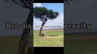Seperti inilah gambaran Isaac Newton menemukan Hukum Gravitasi Pertama kali #Gravity #Newton #apple