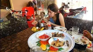 Dodo Feel Happy To Have Dinner With Mom And Daddy, Dodo Drink Much Milk