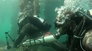 Diving at St Leonards