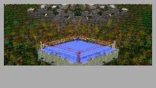 4D Boxing Longplay
