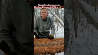 Вот как построить дом посреди леса Аляски в -40 #выживание  #outdoor  #outdoorboys  #survival