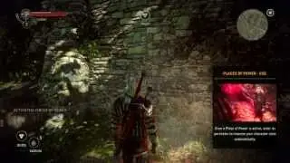 The Witcher 2: AoK EE -  