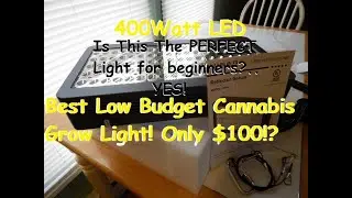 Best Low Budget Cannabis Grow Light!
