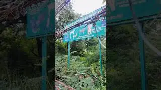 India's oldest and largest in Coimbatore #nativeindian #coimbatore #museum #forest