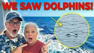 День в море на лайнере Quantum of the Seas: острые ощущения, победы и дикая природа