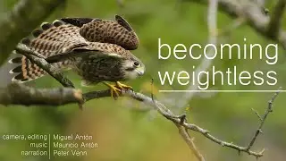 Becoming weightless