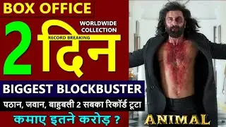 Animal box office collection day 2, animal worldwide collection, animal total collection, ranbir