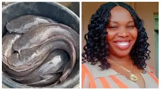 This CATFISH BUSINESS can change your income & pay you cool Cash!!!