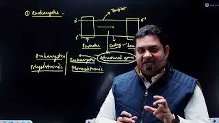 How Transcription Occurs in Prokaryotes? | Simple Explanation