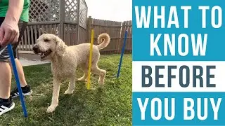 Review: Yiotl Dog Agility Equipment Set